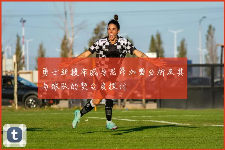 勇士新援布威与尼昂加盟分析及其与球队的契合度探讨
