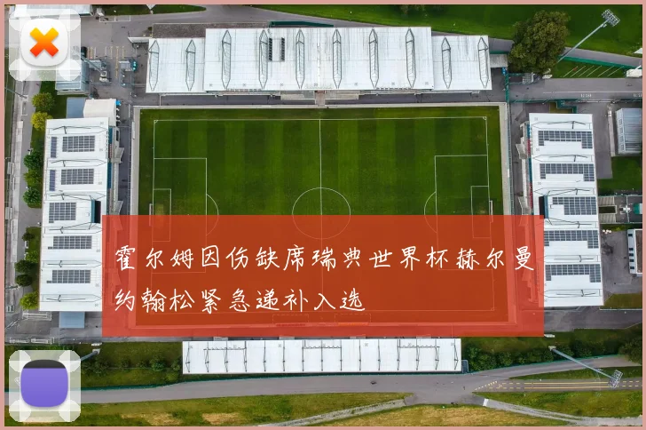 霍尔姆因伤缺席瑞典世界杯赫尔曼约翰松紧急递补入选